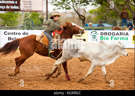 Kuh Frau in Aktion in einem Rodeo, ein beliebter Zeitvertreib in Mato Grosso do Sul, Bonito, Brazi Stockfoto