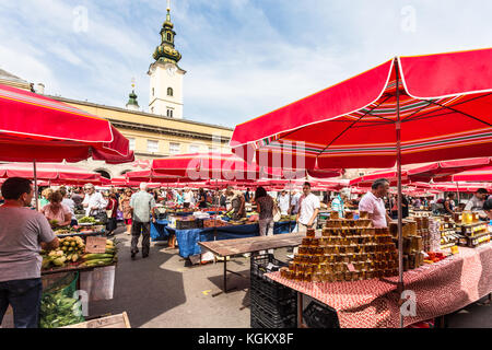 Zagreb, Kroatien - 28. August 2017: Leute Shop auf dem frisches Obst und vegetebles im Herzen der Hauptstadt Zagreb, Kroatien. Stockfoto