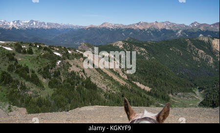 Pferd Perspektive - mit Blick auf die Berge und die Aussicht genießen. South Chilcotin Mountain Park, British Columbia, Kanada Stockfoto