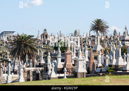 Gräber in der Waverley Friedhof, Bronte, Sydney, NSW, New South Wales, Australien Stockfoto