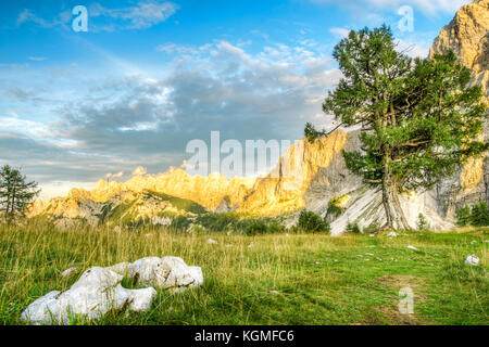 Schöne Bergwelt mit alten Lerche Baum im Abendlicht. Die julischen Alpen, Nationalpark Triglav. Slowenien. Stockfoto