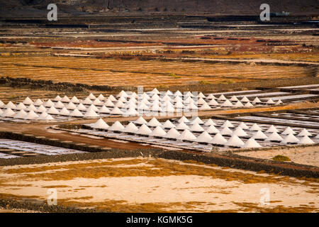 Salzwerk. Salinas de Janubio. Lanzarote Island. Kanarische Inseln Spanien. Europa Stockfoto