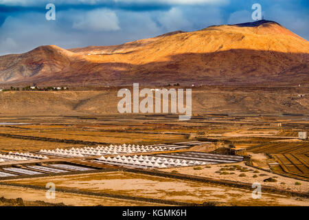 Salzwerk. Salinas de Janubio. Lanzarote Island. Kanarische Inseln Spanien. Europa Stockfoto