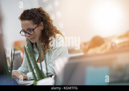 Junge Unternehmer Frauen im Amt auf Laptop Stockfoto