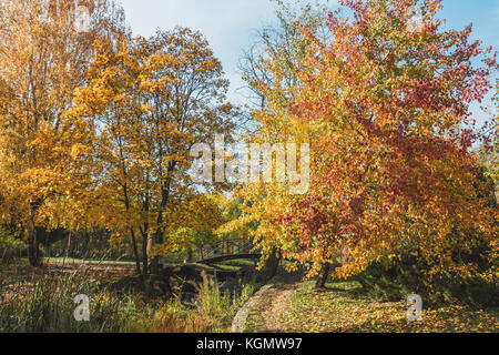 Herbst Fußweg in die City Park mit einer Brücke an einem sonnigen Tag Stockfoto