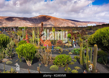 Jardin de Cactus. Cactus Garden von Cesar Manrique, Risco de las Nieves Range, Guatiza. Lanzarote Island. Kanarische Inseln Spanien. Europa Stockfoto