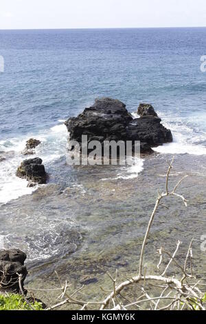 Gris Gris liegt in der IT-Landschaft Stockfoto