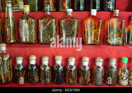 Lokale traditionelle Gärung Whiskey in einem Whiskey Dorf Ban xang ha, Luang Prabang, Laos. Stockfoto