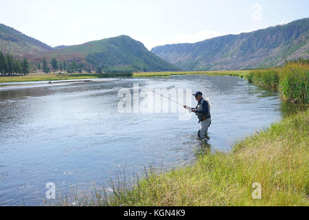 Fliegenfischer Angeln in Madison River, Yellowstone Park Stockfoto