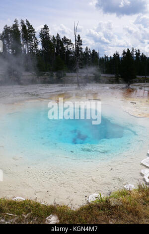 Ansicht der Geysire im Yellowstone National Park, Montana Stockfoto