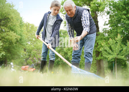 Großvater mit grandkid Reinigung Garten mit Rechen Stockfoto