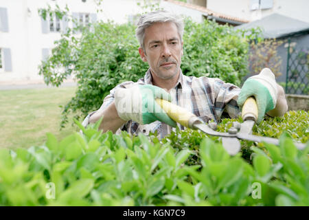 Reifer Mann im Garten Hecken Stockfoto