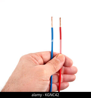 Zwei parallele Kabel rot und blau in einer Hand isoliert auf weißem Stockfoto