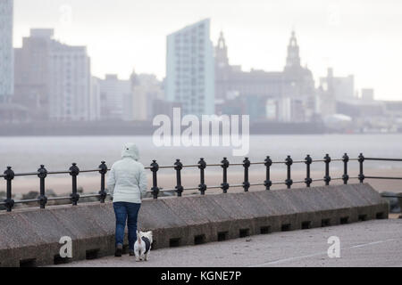 New Brighton Wirral, Großbritannien Wetter. Windig, schauerwetter über aus dem Westen heute einen hellen Nachmittag zu verlassen, sondern mit zunehmender Wind. Ein Hund Walker für die Kälteren winder Bedingungen entlang der Promenade von New Brighton mit den Fluss Mersey und Liverpool skyline im Hintergrund gekleidet Stockfoto