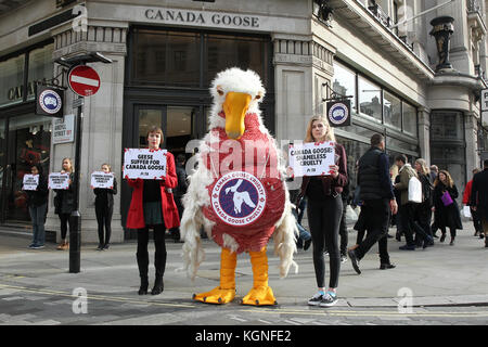 London, Großbritannien. 9 Nov, 2017. Innerhalb von Minuten nach der Eröffnung des ersten europäischen Flagship Store in London, Kanada gans seine erste Demonstranten gesehen. Von einem riesigen 'Gans' und halten Schilder lesen, "Gänse leiden für Kanada Gans, "PETA Mitglieder der Bühne eine friedliche Demonstration vor dem Regent Street Store. Credit: Wfpa/alamy leben Nachrichten Stockfoto