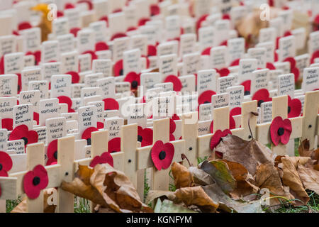 Westminster Abbey, London, UK. 9 Nov, 2017. Einige der hölzerne Kreuze - Prinz Harry besucht das Feld der Erinnerung an der Westminster Abbey und trifft die Dekanin oder der Dekan von Westminster, der Präsident der Poppy Factory und der nationalen Präsidenten der Royal British Legion. Er legte ein Kreuz der Erinnerung vor der hölzerne Kreuze aus den Gräbern der Unbekannten britischen Soldaten. Nach dem "Last Post" und ein zwei Minuten Stille traf er den Veteranen. Credit: Guy Bell/Alamy leben Nachrichten Stockfoto