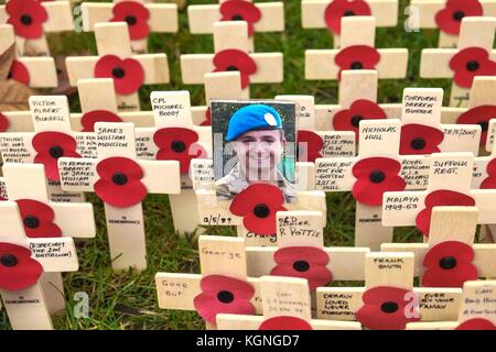 London, Großbritannien. 9. Nov 2017. Das Feld der Erinnerung an die Westminster Abbey am 9. November 2017 für das allgemeine Publikum geöffnet wird. : Credit: Claire Doherty/Alamy leben Nachrichten Stockfoto