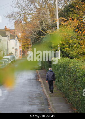 Sheerness, Kent, Großbritannien. 10 Nov, 2017. UK Wetter: Ein bewölkter morgen im Herbst Farben aufgehellt. Credit: James Bell/Alamy leben Nachrichten Stockfoto