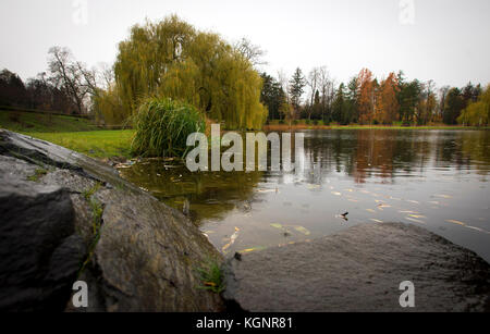 Prag, Tschechische Republik. November 2017. Herbst im rekonstruierten Prager Park Stromovka (Königliches Wildreservat), Prag, Tschechische Republik, 10. November 2017. Quelle: Katerina Sulova/CTK Photo/Alamy Live News Stockfoto