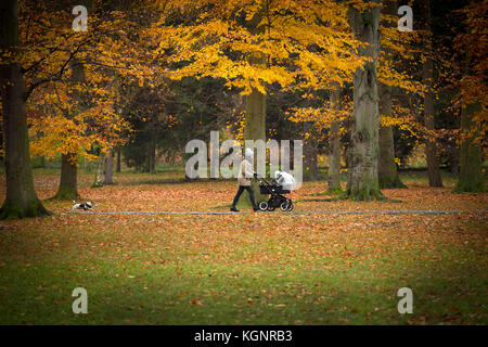 Herbst im rekonstruierten Prager Park Stromovka (Königliches Wildreservat), Prag, Tschechische Republik, 10. November 2017. (CTK Foto/Katerina Sulova) Stockfoto