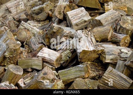 Stapel der Logs gespeichert Bereit zum Brennen als Kraftstoff Stockfoto