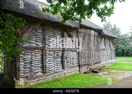 Ein Cruck Bau aus dem 16. Jahrhundert Dreschen Scheune am Avoncroft Museum von Gebäuden, Stoke Heath Bromsgrove, Worcestershire, England, Großbritannien Stockfoto