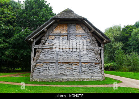 Ein Cruck Bau aus dem 16. Jahrhundert Dreschen Scheune am Avoncroft Museum von Gebäuden, Stoke Heath Bromsgrove, Worcestershire, England, Großbritannien Stockfoto