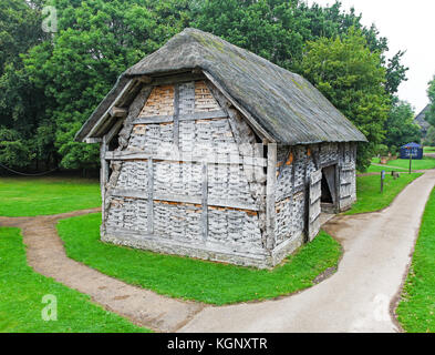 Ein Cruck Bau aus dem 16. Jahrhundert Dreschen Scheune am Avoncroft Museum von Gebäuden, Stoke Heath Bromsgrove, Worcestershire, England, Großbritannien Stockfoto