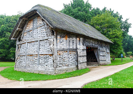 Ein Cruck Bau aus dem 16. Jahrhundert Dreschen Scheune am Avoncroft Museum von Gebäuden, Stoke Heath Bromsgrove, Worcestershire, England, Großbritannien Stockfoto