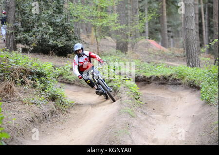 Mountainbiken auf chicksands, bedfordshire. Reiter, steilen Bergabfahrten track verunreinigt mit Sprüngen und Bermen. Stockfoto