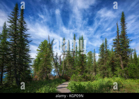 Ergaki Park in Sibirien Russland. Stockfoto