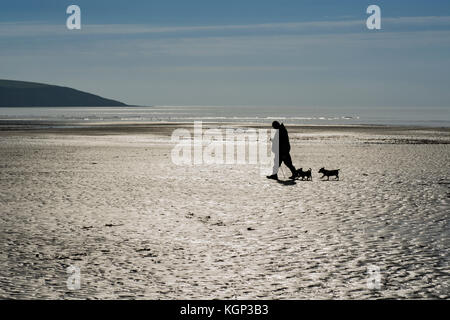 Silhouette des Hundegängers/Mannes, der mit seinen zwei kleinen Hunden am Par Beach in Cornwall, Großbritannien, spazieren geht. Cornwall Strand Meer Himmel. Stockfoto