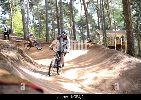 Mountainbiken auf chicksands, bedfordshire. Reiter, steilen Bergabfahrten track verunreinigt mit Sprüngen und Bermen. Stockfoto