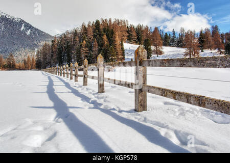 Winterlandschaft bei Celerina (Schweiz) Stockfoto