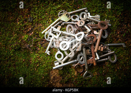 Stapel der alten verloren gegangenen Schlüssel liegen auf Moss Stockfoto