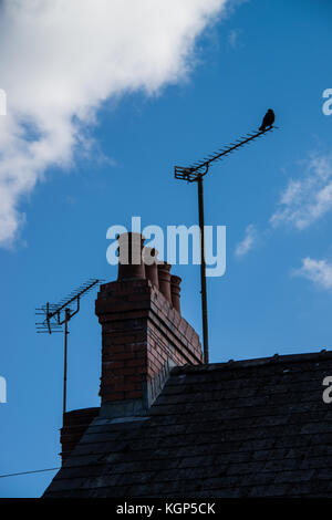 Dachterrasse Fernsehantennen Stockfoto