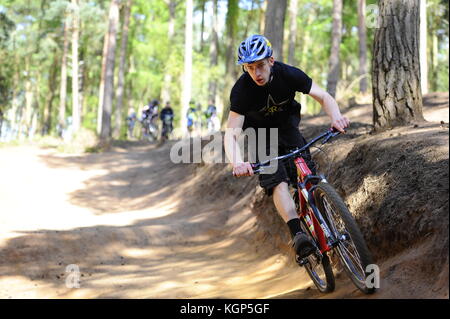 Mountainbiken auf chicksands, bedfordshire. Reiter, steilen Bergabfahrten track verunreinigt mit Sprüngen und Bermen. Stockfoto