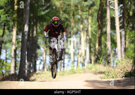 Mountainbiken auf chicksands, bedfordshire. Reiter, steilen Bergabfahrten track verunreinigt mit Sprüngen und Bermen. Stockfoto