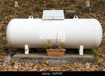 Ein Propan Gas Tank in einem Garten. Stockfoto