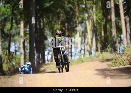 Mountainbiken auf chicksands, bedfordshire. Reiter, steilen Bergabfahrten track verunreinigt mit Sprüngen und Bermen. Stockfoto