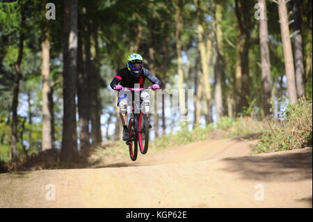 Mountainbiken auf chicksands, bedfordshire. Reiter, steilen Bergabfahrten track verunreinigt mit Sprüngen und Bermen. Stockfoto