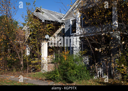 Detroit Urban Blight, Herbst, Detroit, Michigan, USA von James D Coppinger/Dembinsky Foto Assoc Stockfoto