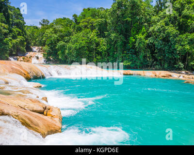 Türkisblaues Wasser von Agua Azul fällt, Chiapas, Mexiko Stockfoto