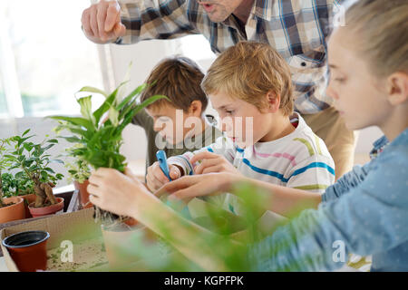 Lehrer mit Kindern im Biologieunterricht lernen über Pflanzen Stockfoto