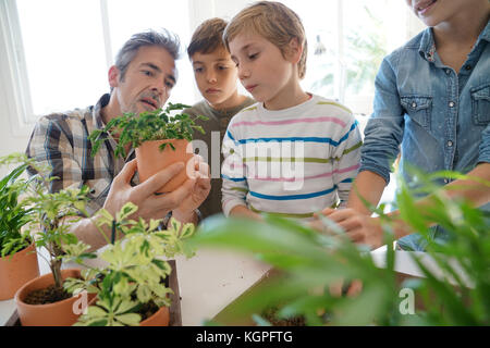 Lehrer mit Kindern im Biologieunterricht lernen über Pflanzen Stockfoto