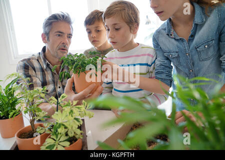 Lehrer mit Kindern im Biologieunterricht lernen über Pflanzen Stockfoto