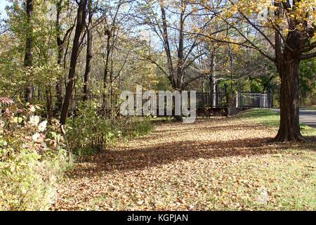 Die Herbstsaison in einigen Parks in Ohio. Stockfoto