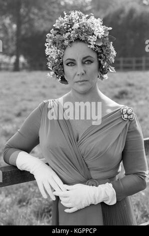 Der Spiegel knacken würde (1980) Elizabeth Taylor Datum: 1980 Stockfoto