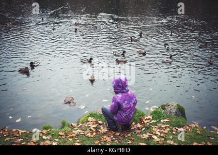 Kleines Mädchen feeds Enten auf See im Herbst Park Stockfoto