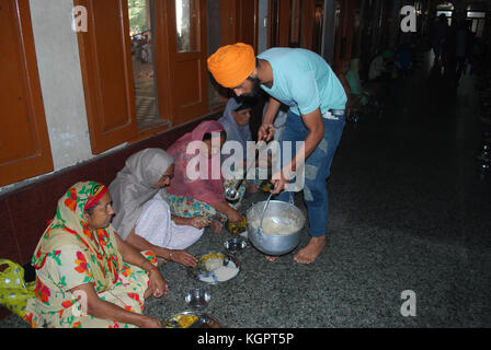 Sikh freiwillige schälen Knoblauch und die Zubereitung von Speisen im Freien Gemeinschaft Speisesaal. Der Goldene Tempel. Amritsar. Punjab. Indien Stockfoto